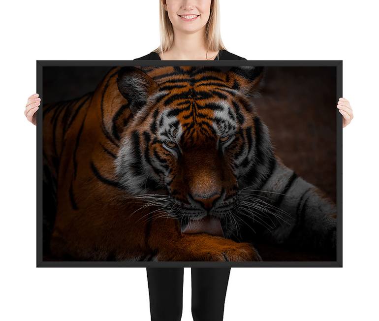 Original Conceptual Animal Photography by Mindia Midelashvili