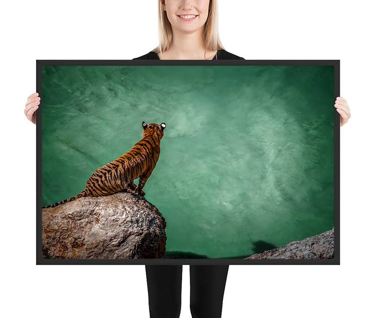 Original Abstract Expressionism Animal Photography by Mindia Midelashvili