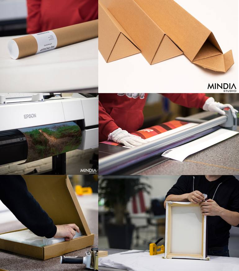 Original Expressionism Animal Photography by Mindia Midelashvili