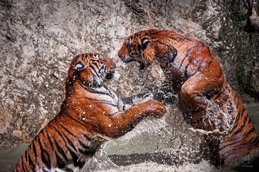 Original Abstract Expressionism Animal Photography by Mindia Midelashvili