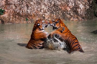 Original Romanticism Animal Photography by Mindia Midelashvili