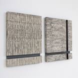 Superfresco IV & V by Sophie Hopkinson