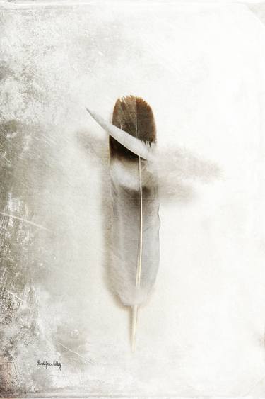 Saatchi Art Artist Randi Grace Nilsberg; Photography, “Flying Feathers - Limited Edition 1 of 10” #art