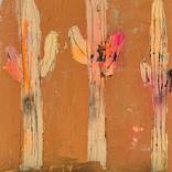 Deadwood by Gino Belassen