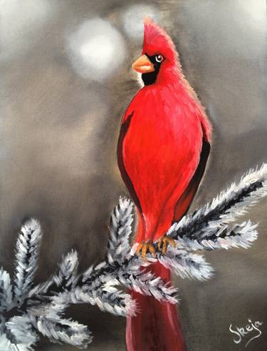 Cardinal Bird thumb