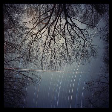 Original Contemporary Nature Photography by Paula Kelly