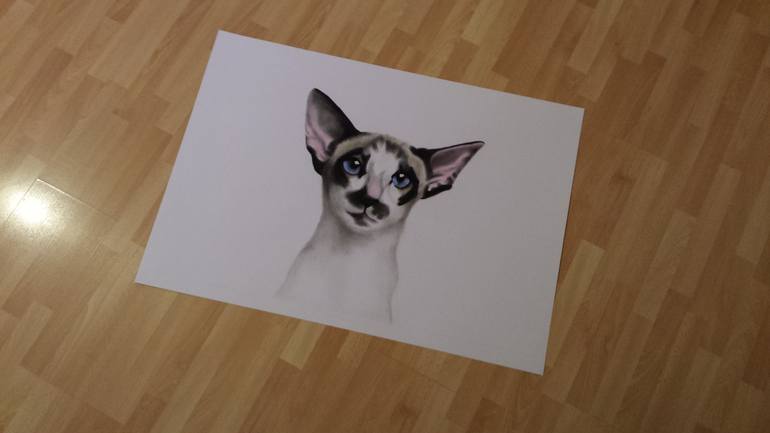 Original Cats Drawing by marta sladká