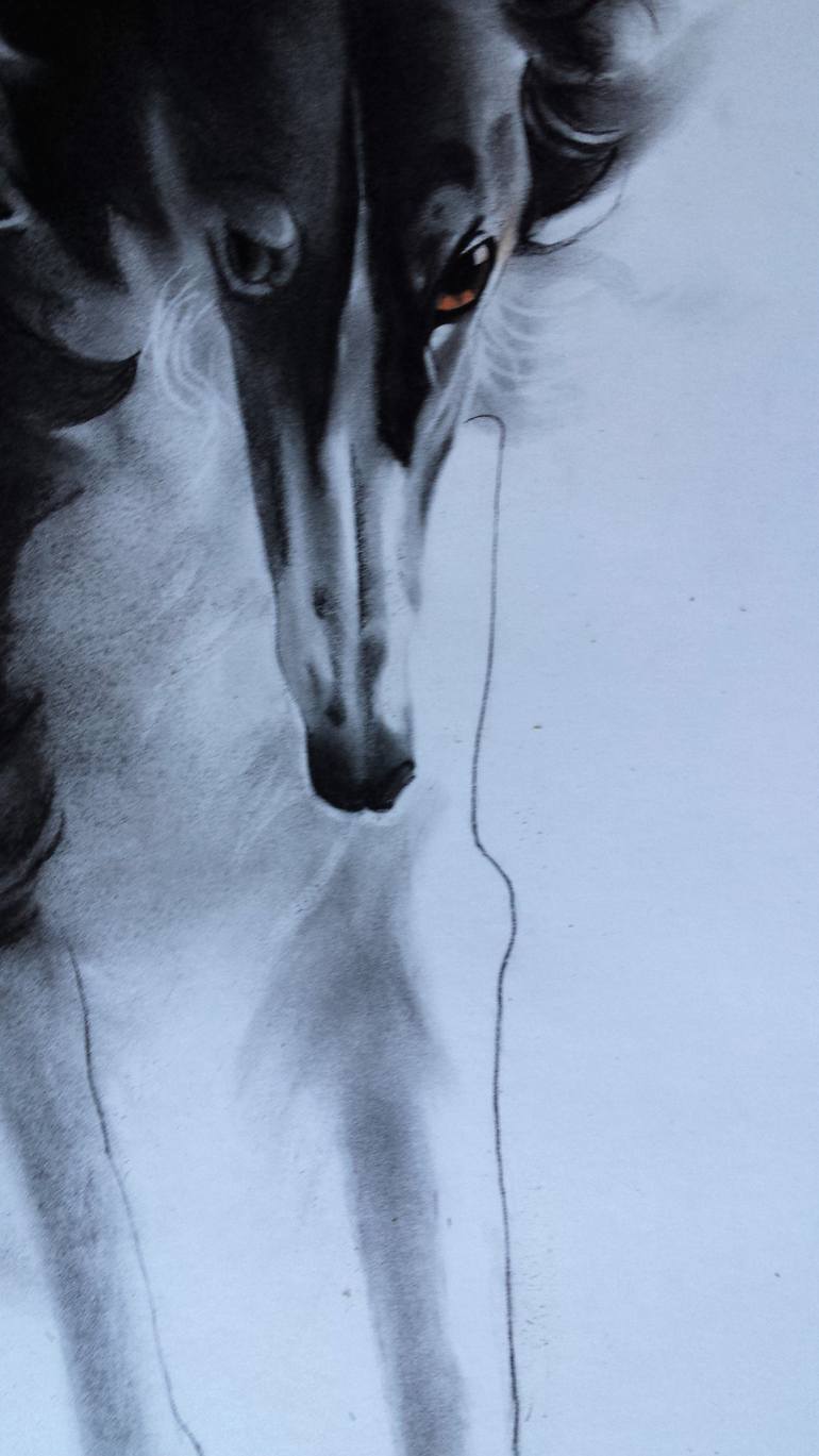 Original Illustration Dogs Drawing by Marta Sladká
