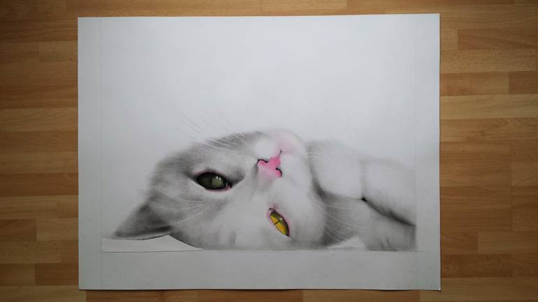 Original Illustration Cats Drawing by Marta Sladká