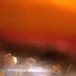 Colour Aperture No. 12 by Rupert Jessop
