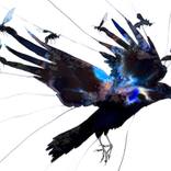 Crow Transformation by Emily McPhee
