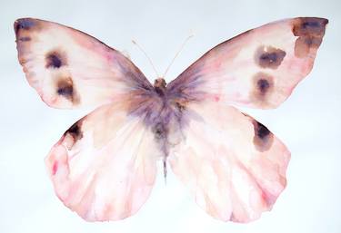 Pale Pink Butterfly thumb