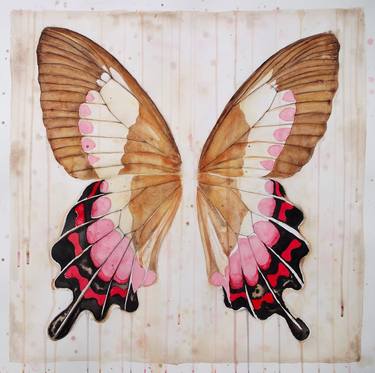 Vintage Butterfly Wings thumb