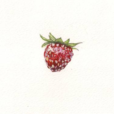 Wild Strawberry thumb