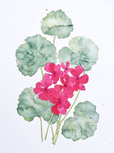 Print of Figurative Botanic Paintings by Emily McPhee