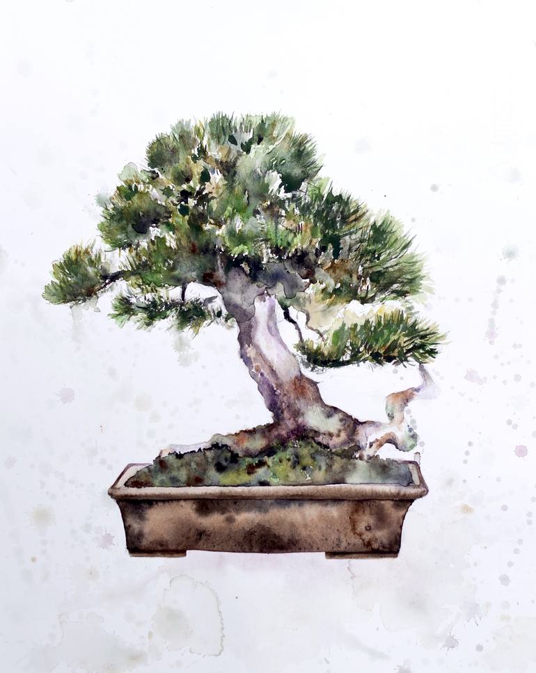 Bonsai Tree Painting by Emily McPhee | Saatchi Art
