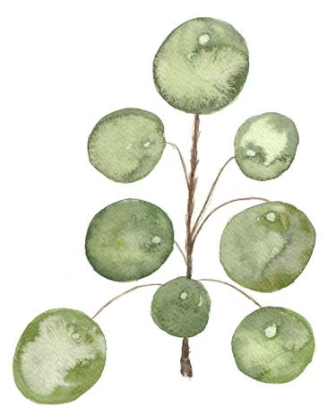 Original Fine Art Botanic Paintings by Emily McPhee