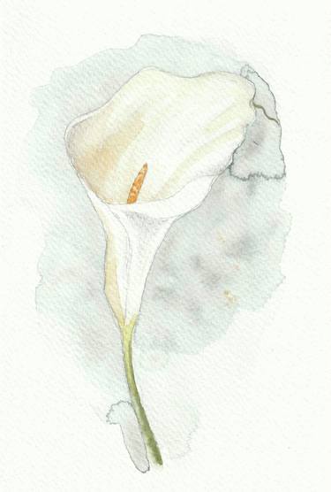 Print of Floral Paintings by Emily McPhee
