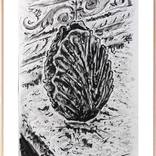 Vase in the cabbages by Alejos Lorenzo