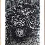 Roots (still life) by Alejos Lorenzo