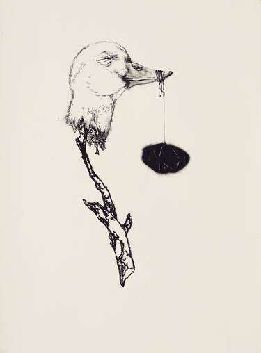 Print of Animal Drawings by TAE WOOK LEE