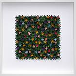 Collection NEW YORK IN BLOOM