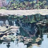 The pond by Joanne Reed