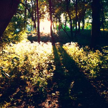 Print of Botanic Photography by Dunya Rehan