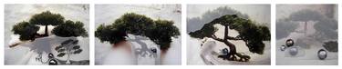 "Meetings with bonsai" (Encontros com o bonsai) - 2008 - limited edition - 1/3 thumb