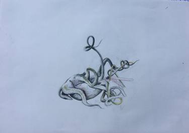 Print of Fine Art Floral Drawings by Olivia Moélo