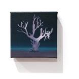 Disappearing Tree by Leticia Gaspar