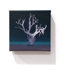 Disappearing Tree