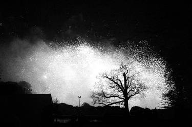 Print of Art Deco Tree Photography by John Farrington