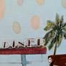 Close-up detail of palm tree, background, and diner sign.
