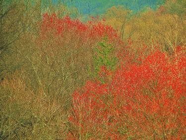 Original Impressionism Seasons Photography by James Bradley McCallum