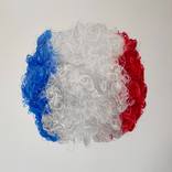 Planète supporter (Planet supporter) by Agnès Lefèvre