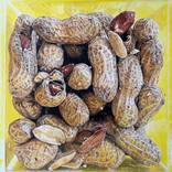 Cacahuètes (Peanuts) by Agnès Lefèvre