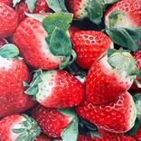 Fraises (Strawberries) by Agnès Lefèvre
