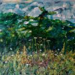 yarrow in front of darkness by Emily Puetter