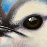 Blue Jay Eye detail