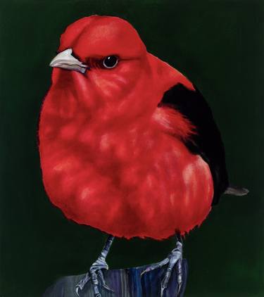 Scarlet Tanager Bird thumb