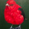 Scarlet Tanager