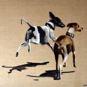 Collection Raining Cats & Dogs