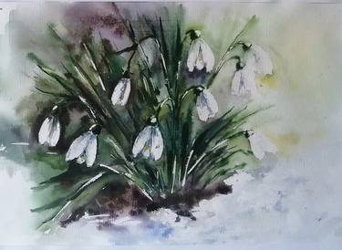 Snowdrops thumb