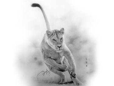 Original Impressionism Animal Drawings by Ayub Majeed