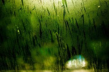 Original Impressionism Landscape Photography by Alice Huang