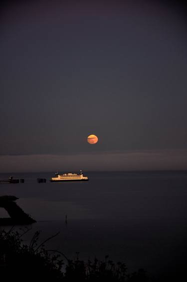 Original Expressionism Nature Photography by Alice Huang