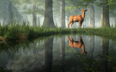 White Tailed Deer Reflected thumb