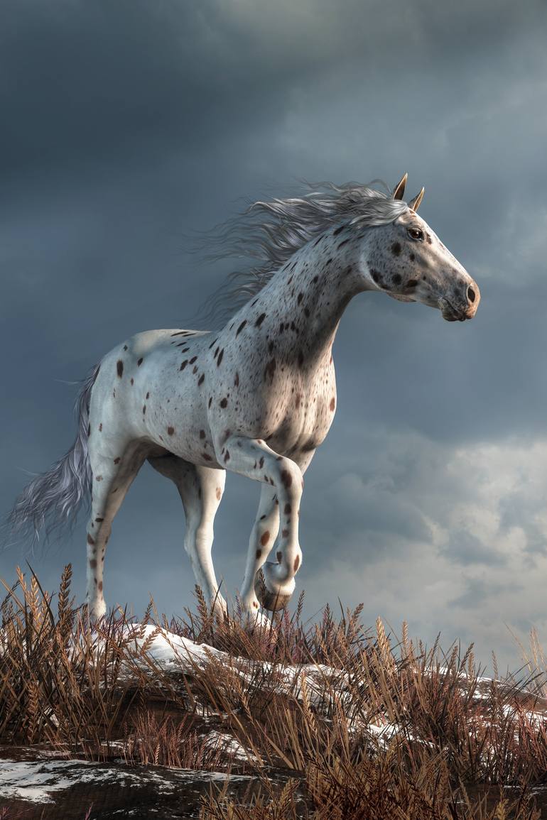 Appaloosa Warrior Horse - Made and Curated