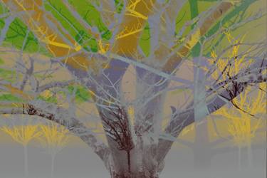 Original Abstract Expressionism Abstract Photography by Olivia Novak